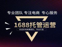 网站APP开发，小程序，公众号，物联网，软件，软件